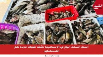 أسعار السمك اليوم في الإسماعيلية تشهد تغيرات جديدة تهم المستهلكين
